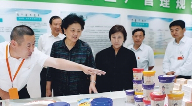 原中共中央政治局委員、國(guó)務(wù)院副總理劉延?xùn)|視察我公司